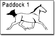 Pacer1a1a