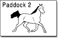 Pacer1a2